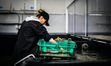 paul-einerhand-oBPg6pccR4E-unsplash (1)